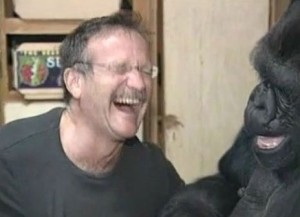 Robin-Williams-Meets-Koko-the-Gorilla-04