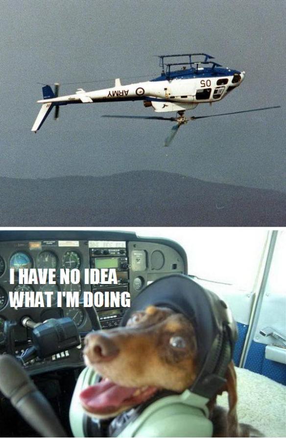 dog-flying-helicopter-upsidedown-noideawhatimdoing-1325354302f